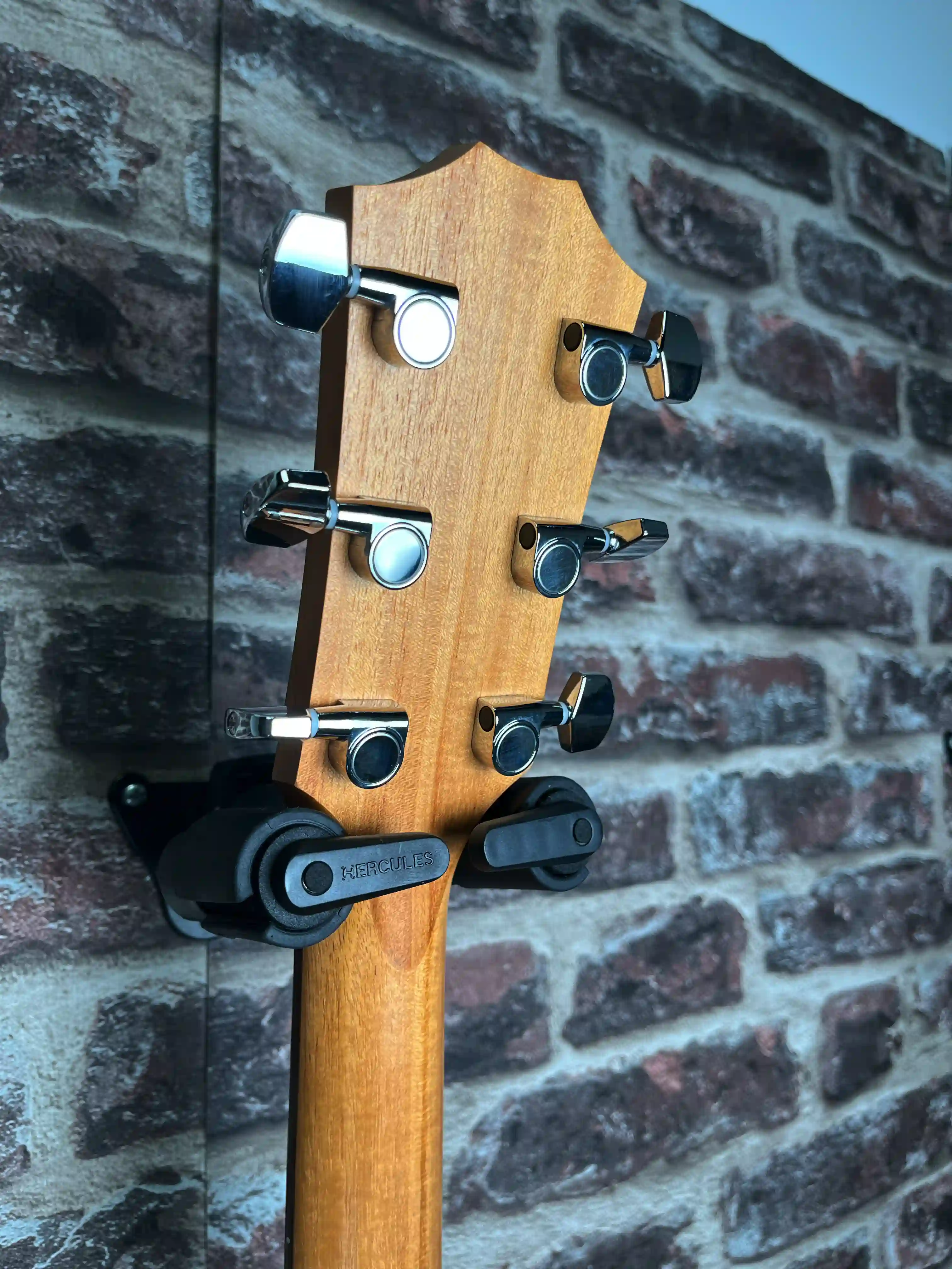 Taylor Academy 12e LH Gaucher