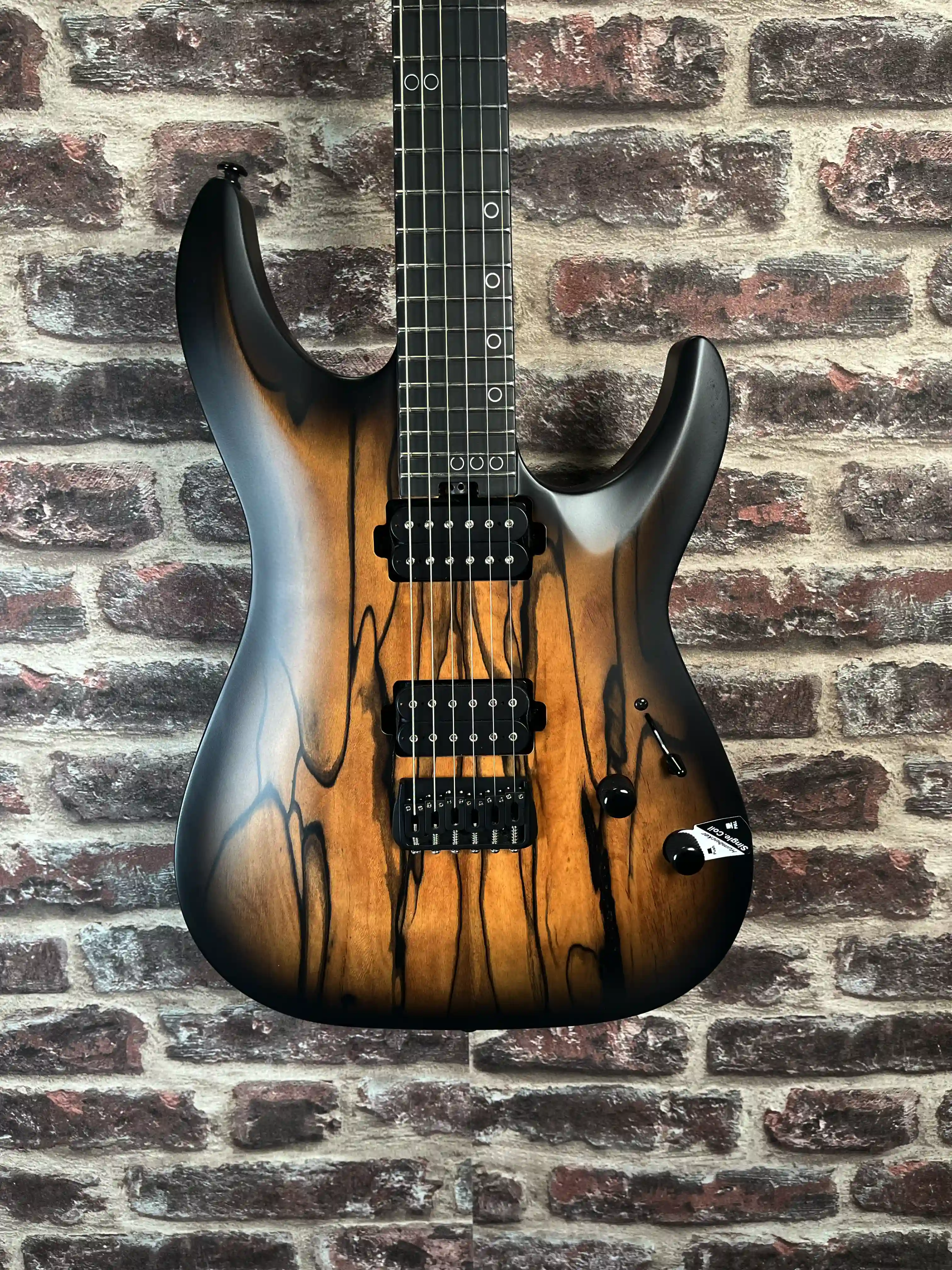 Schecter C‑1 Pale Moon NSBB