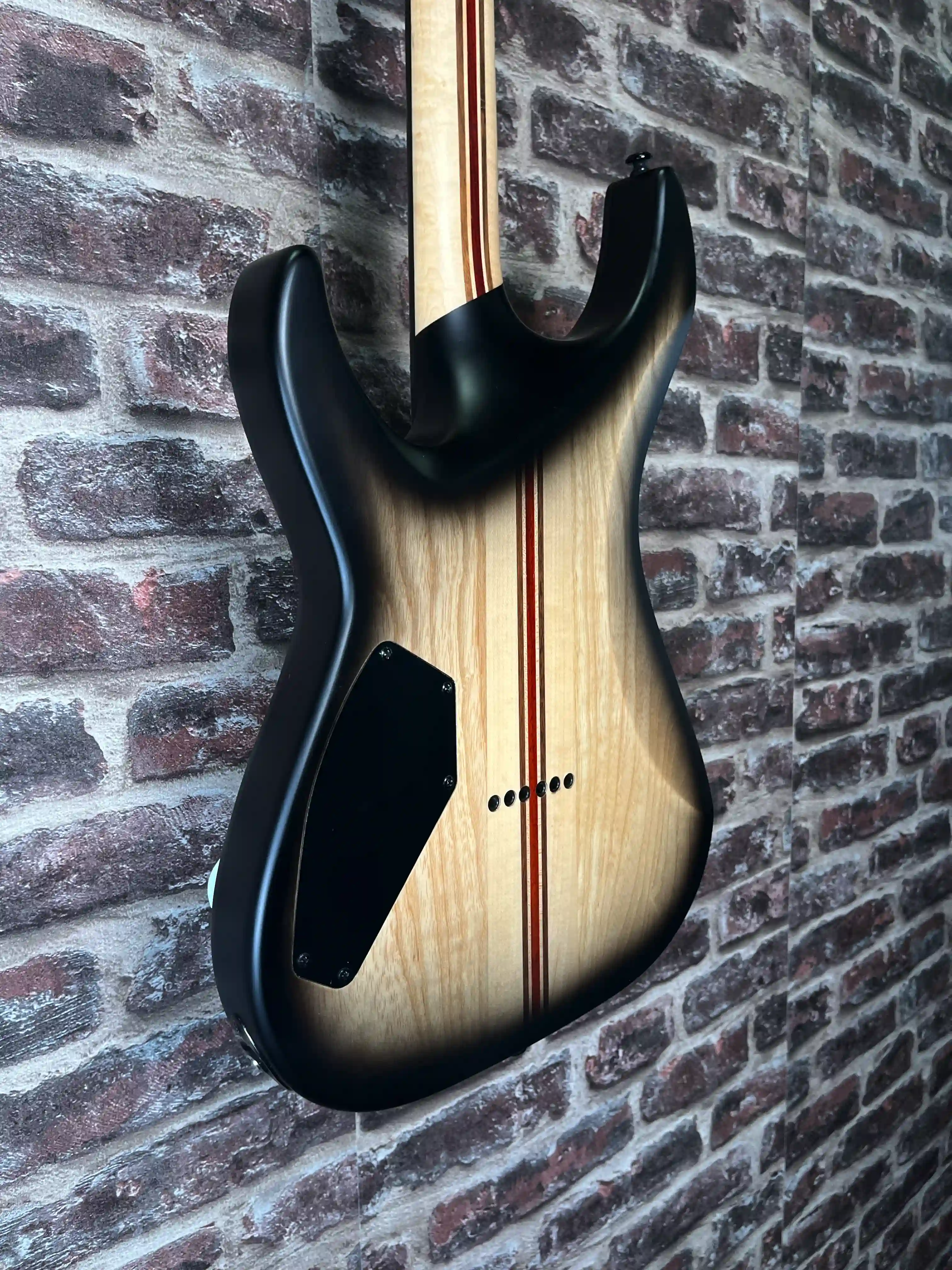 Schecter C‑1 Pale Moon NSBB