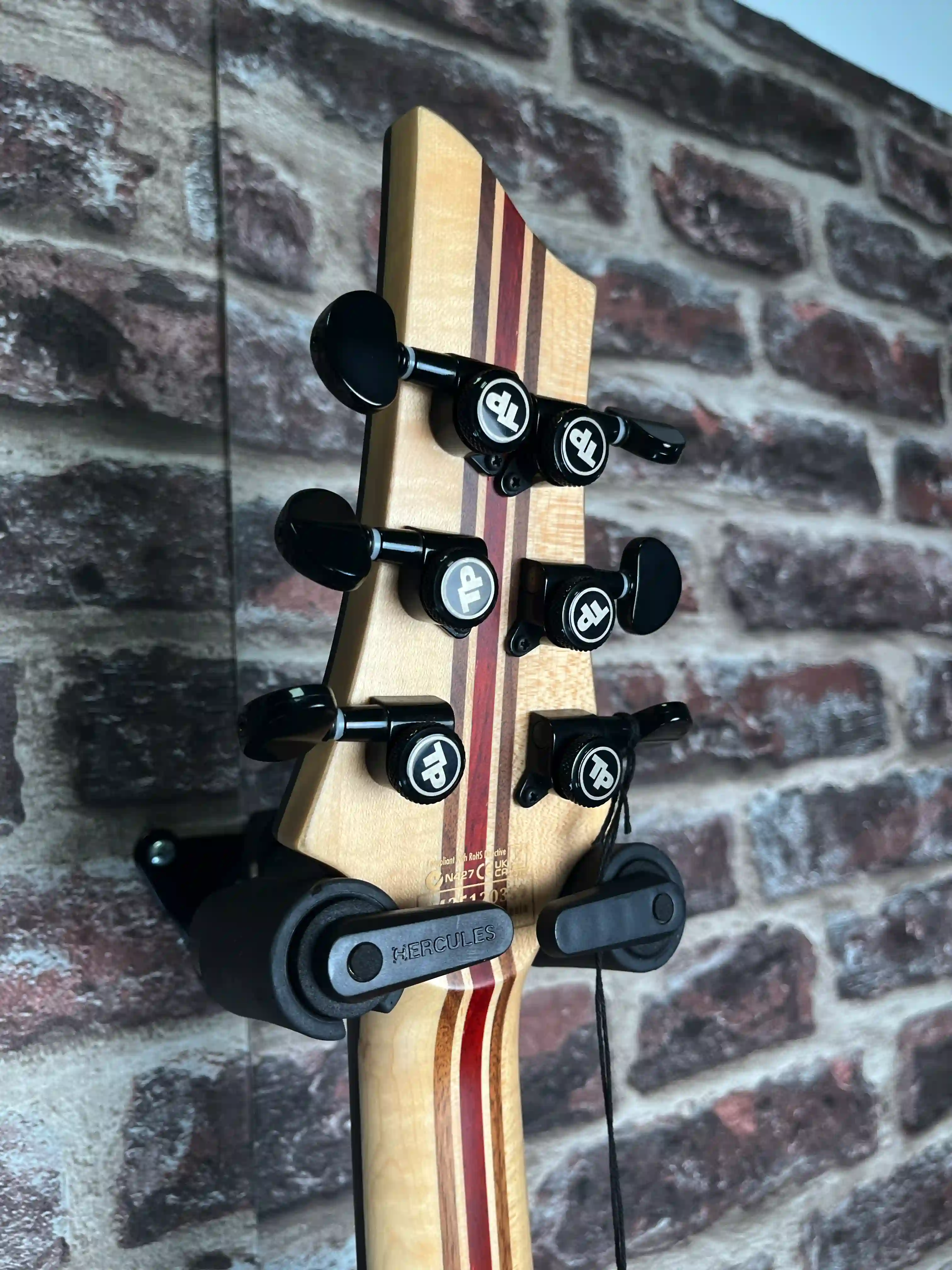 Schecter C‑1 Pale Moon NSBB