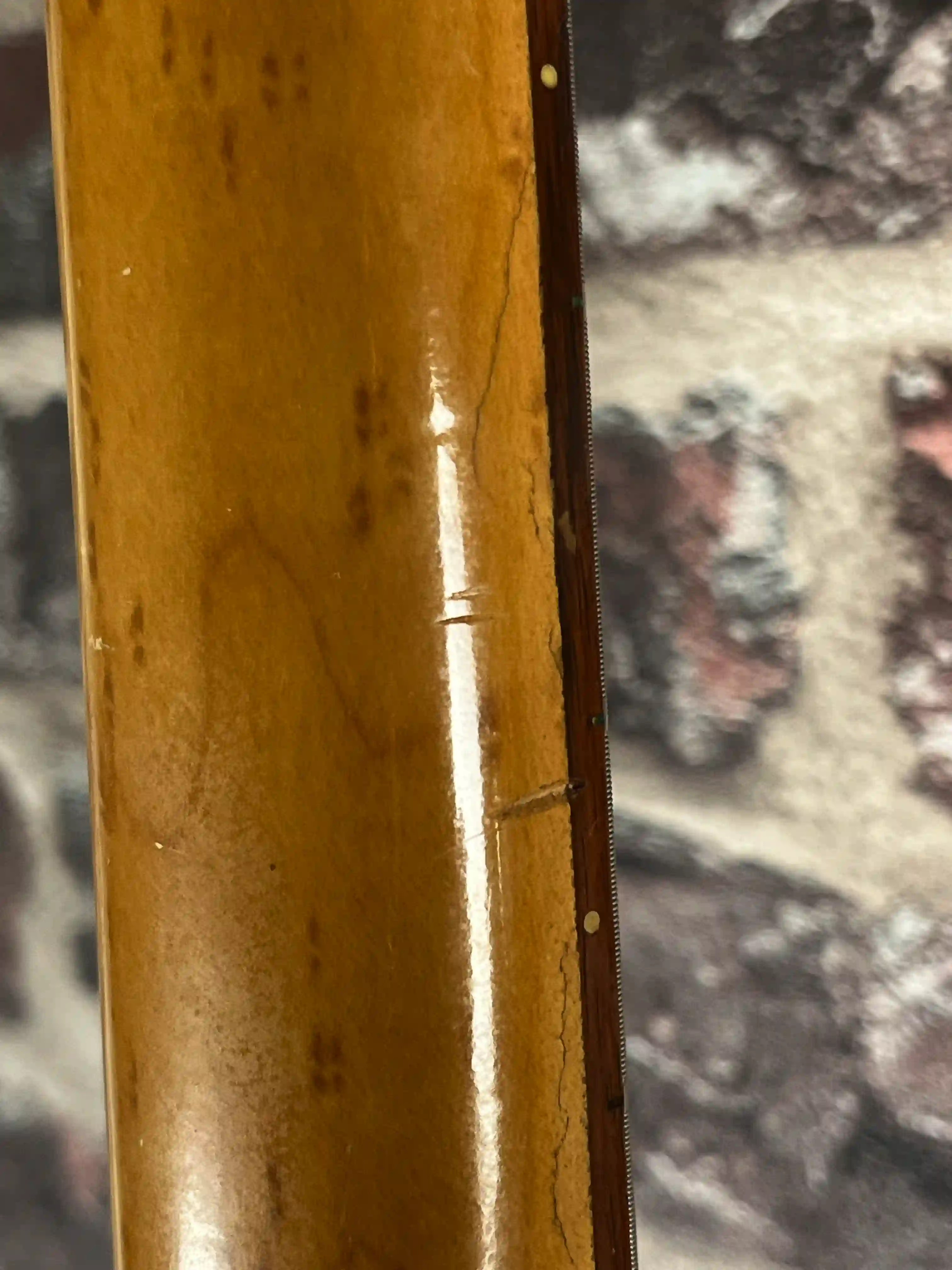 Ibanez Talman TV750 OCCASION