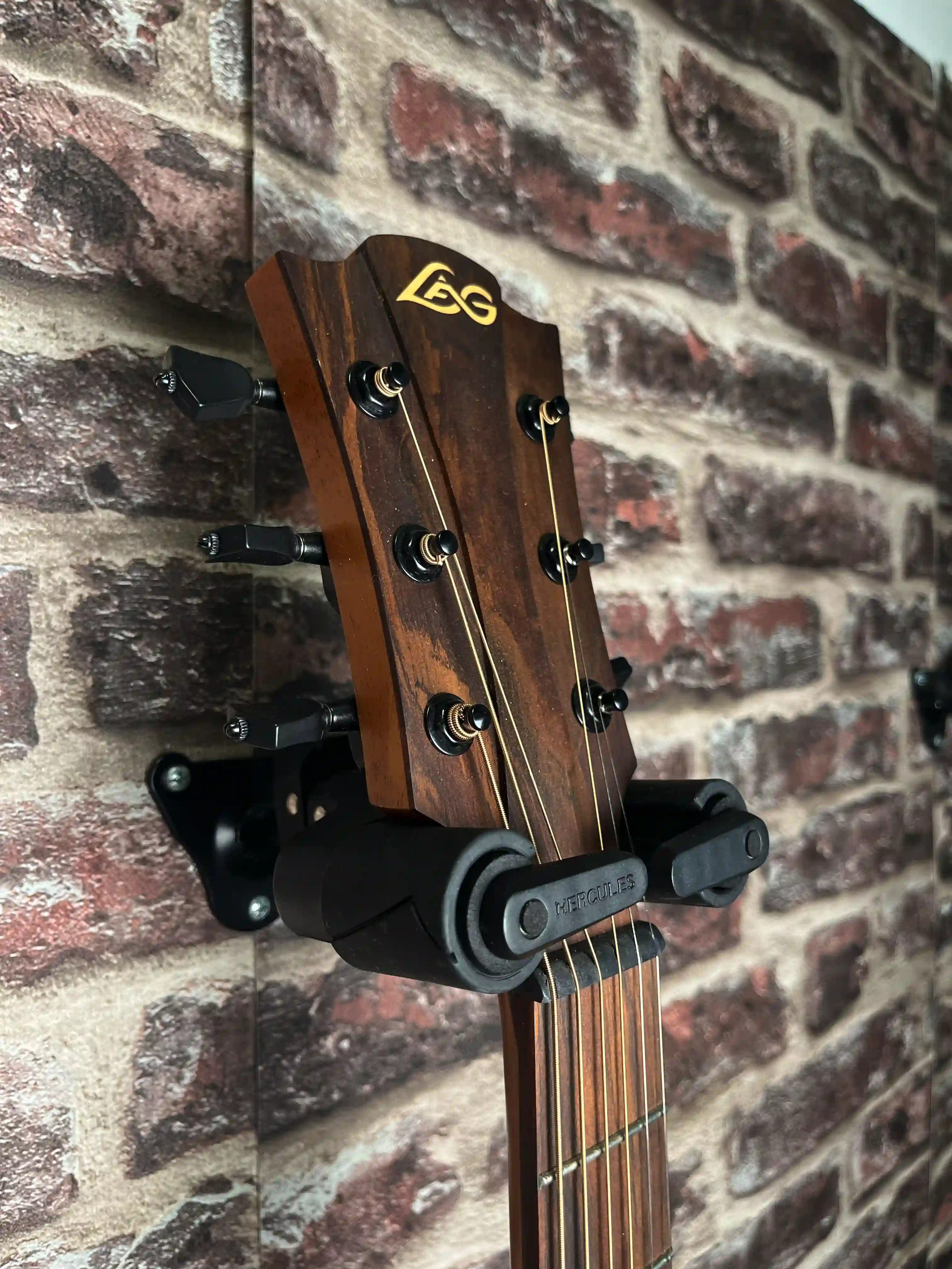 Lâg Tramontane T118ASCE IVO OCCASION