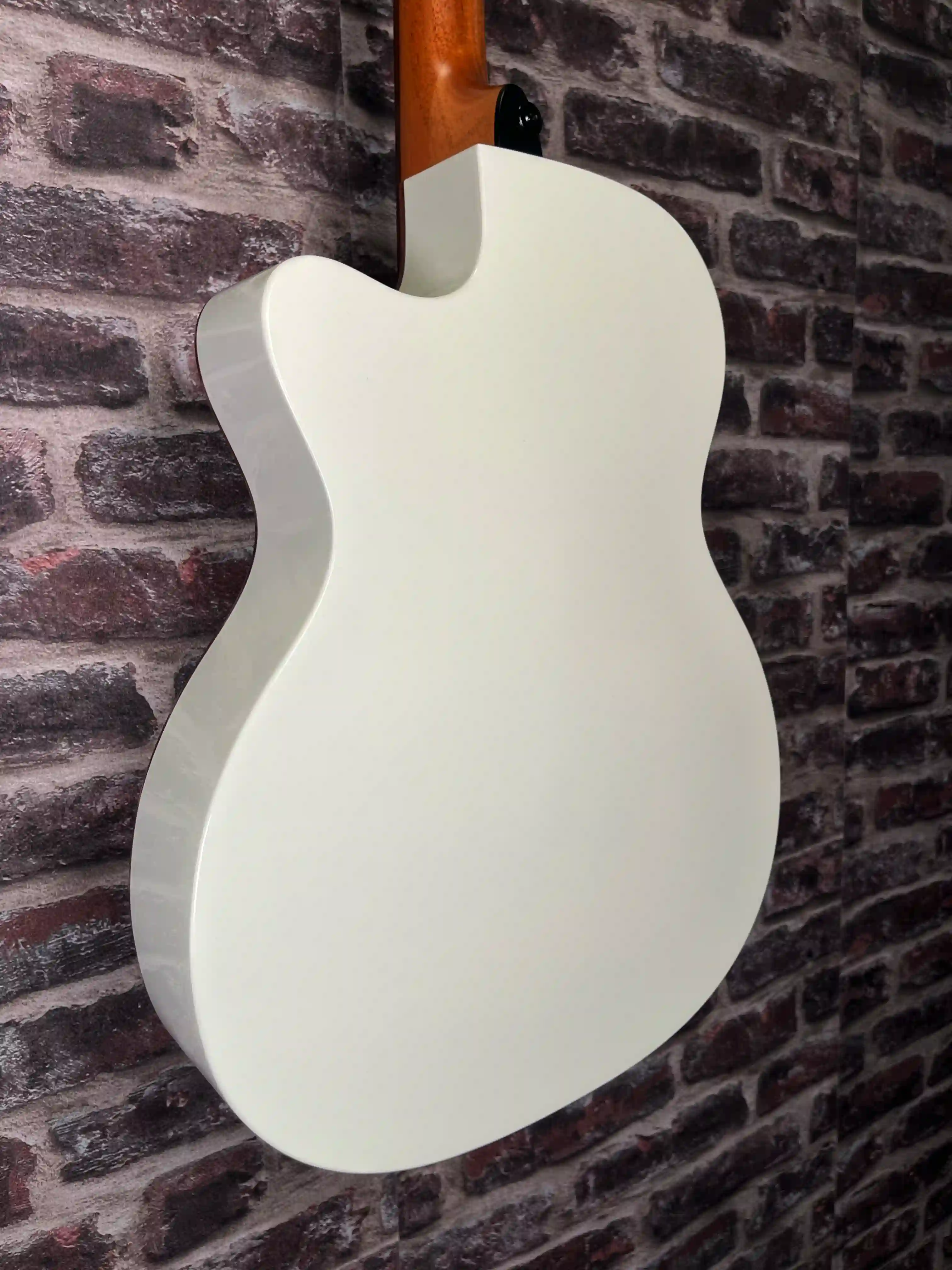 Lâg Tramontane T118ASCE IVO OCCASION