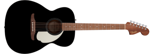Fender California Edition Standard Limited Monterey Black