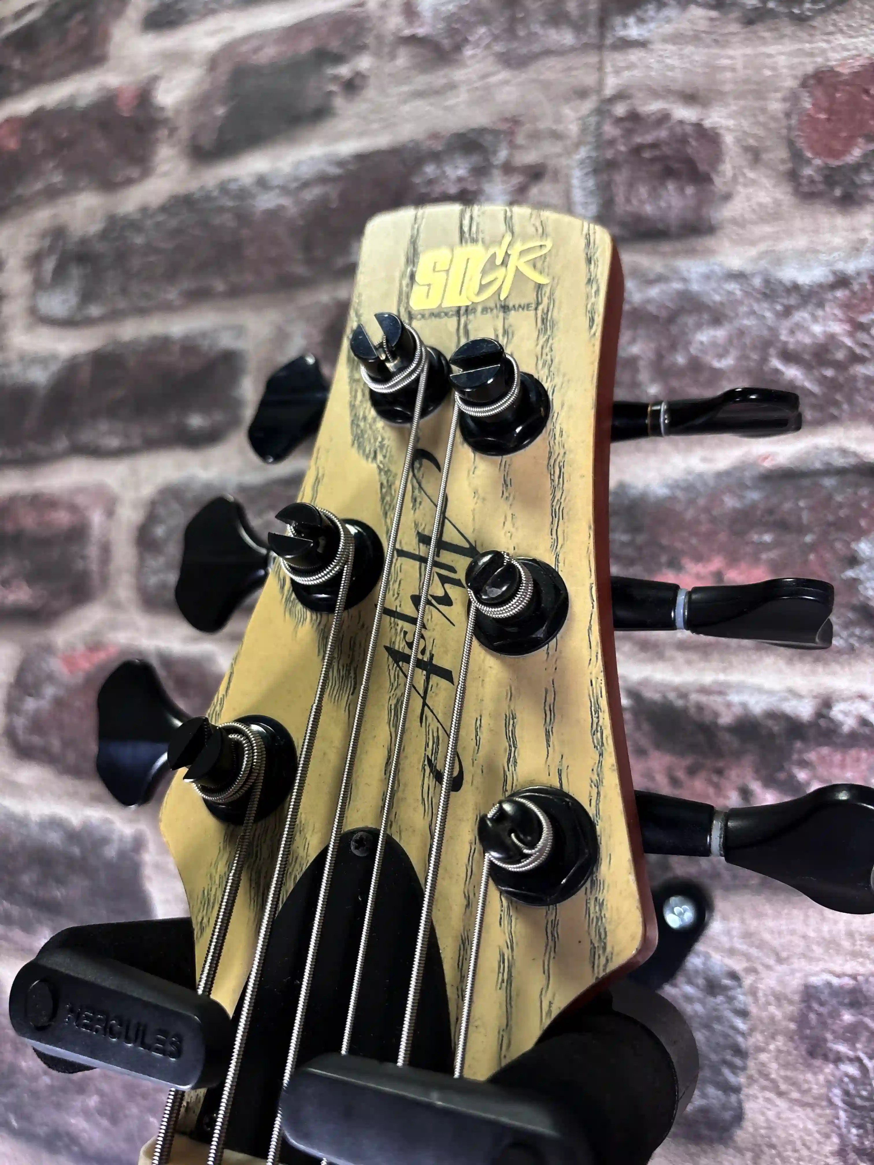 Ibanez Soundgear SR2010ASC "Ashula" Hybrid 6 Strings Fretless