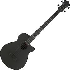 Ibanez AEGB420 BOT