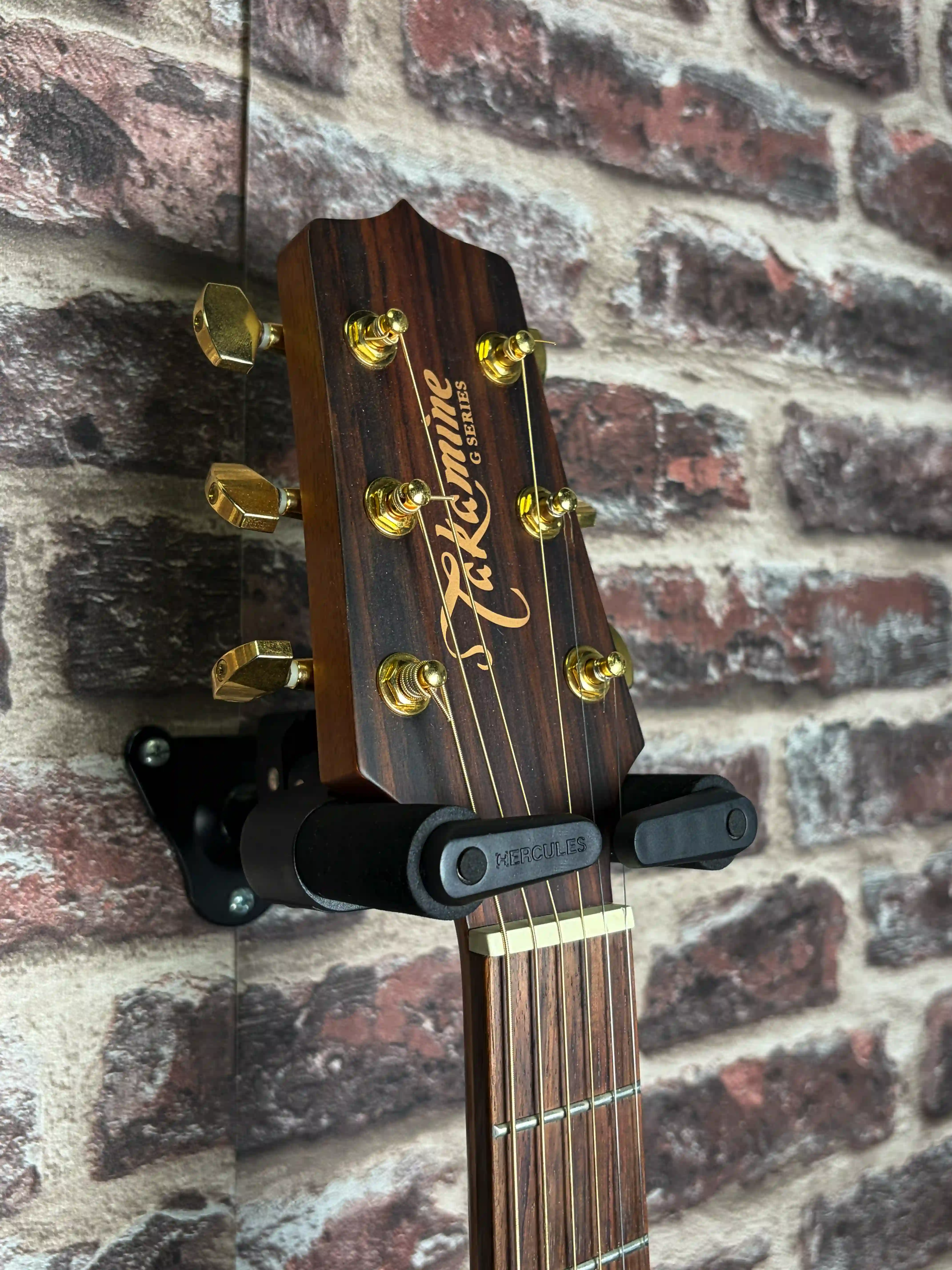 Takamine EG340SC NS