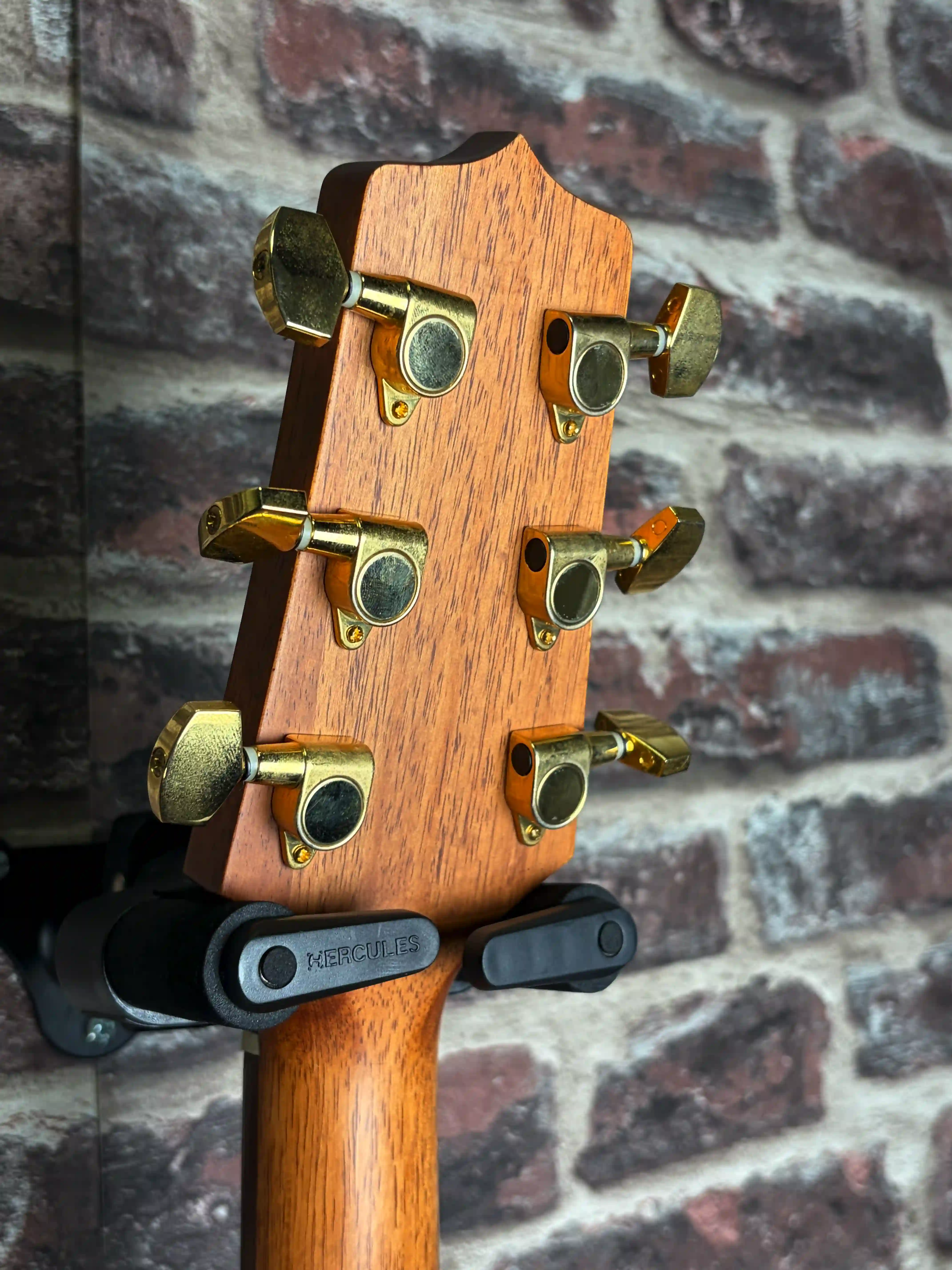 Takamine EG340SC NS