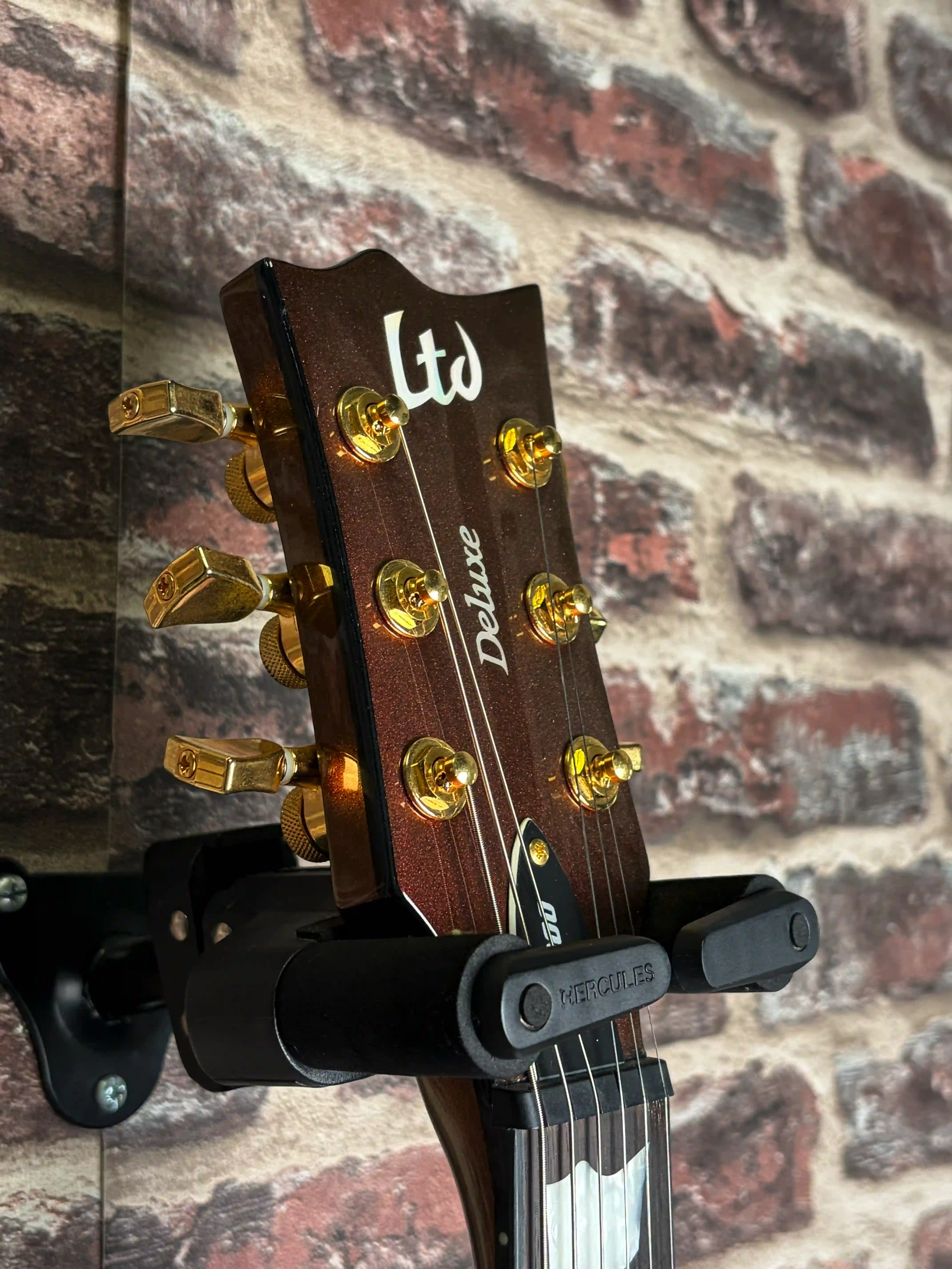 LTD EC‑1000 Deluxe Gold Andromeda OCCASION