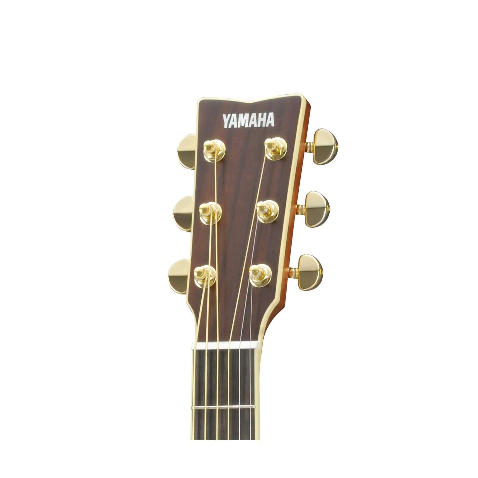 Yamaha LS16 ARE