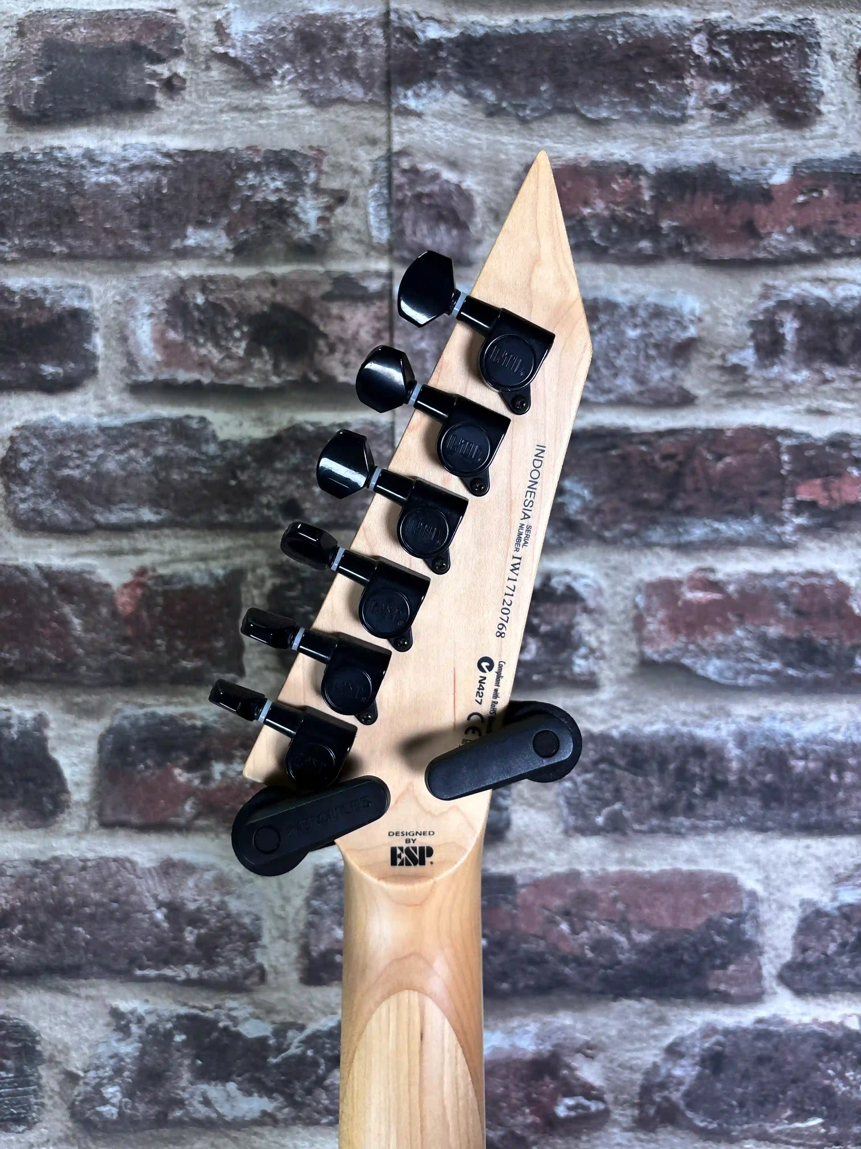 LTD M-200 Black OCCASION