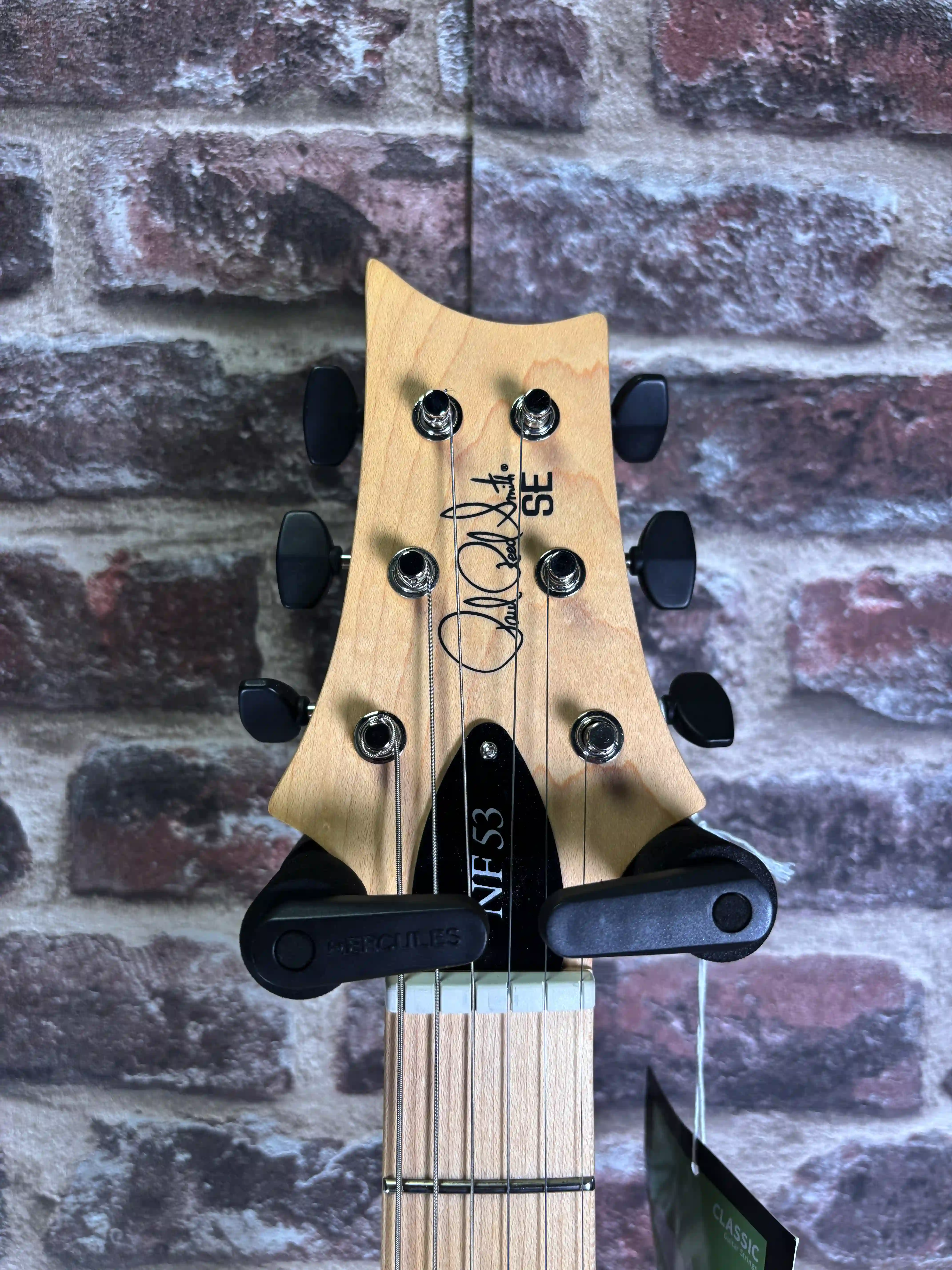 PRS SE NF 53 Doghair OCCASION