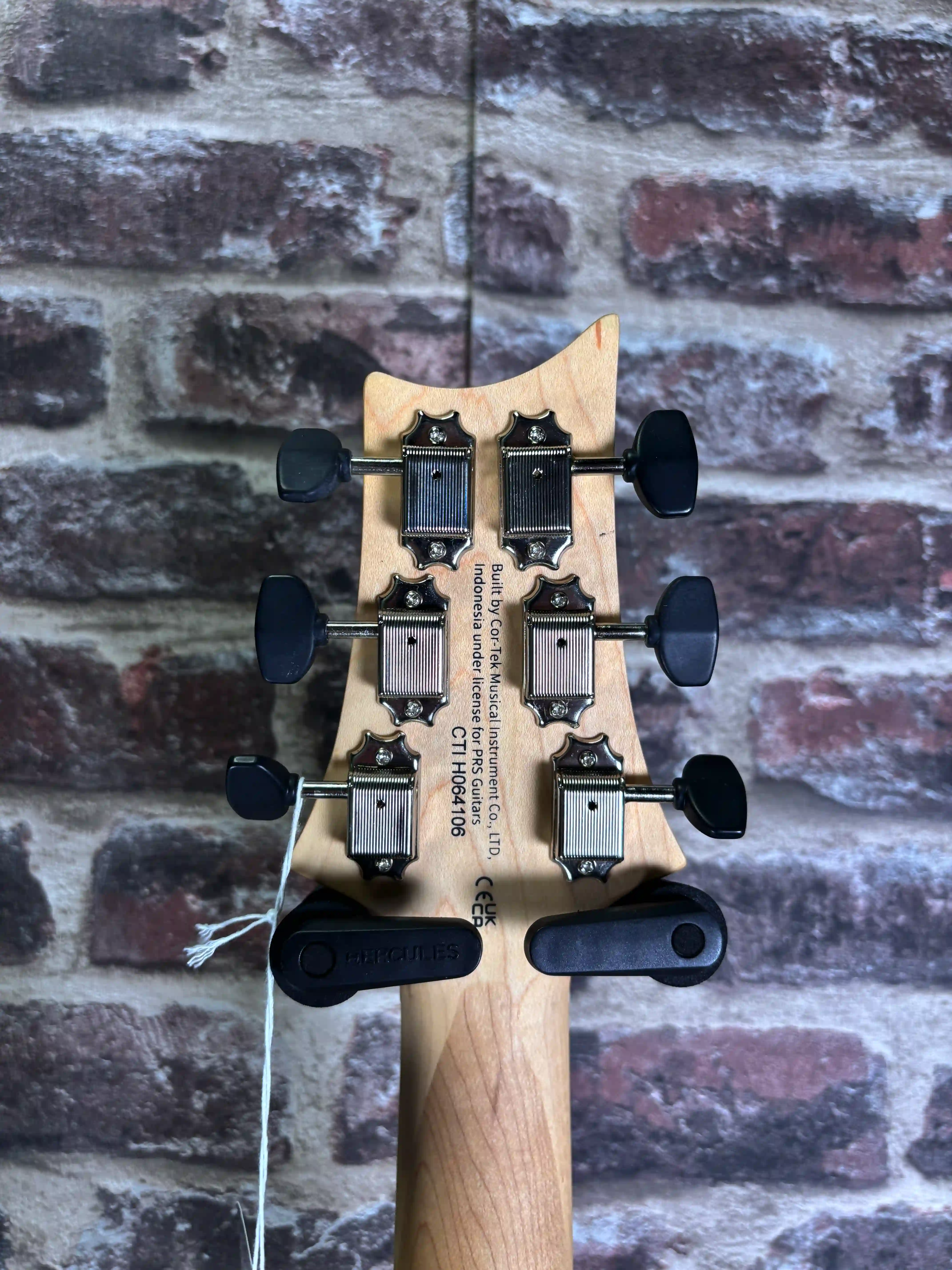 PRS SE NF 53 Doghair OCCASION