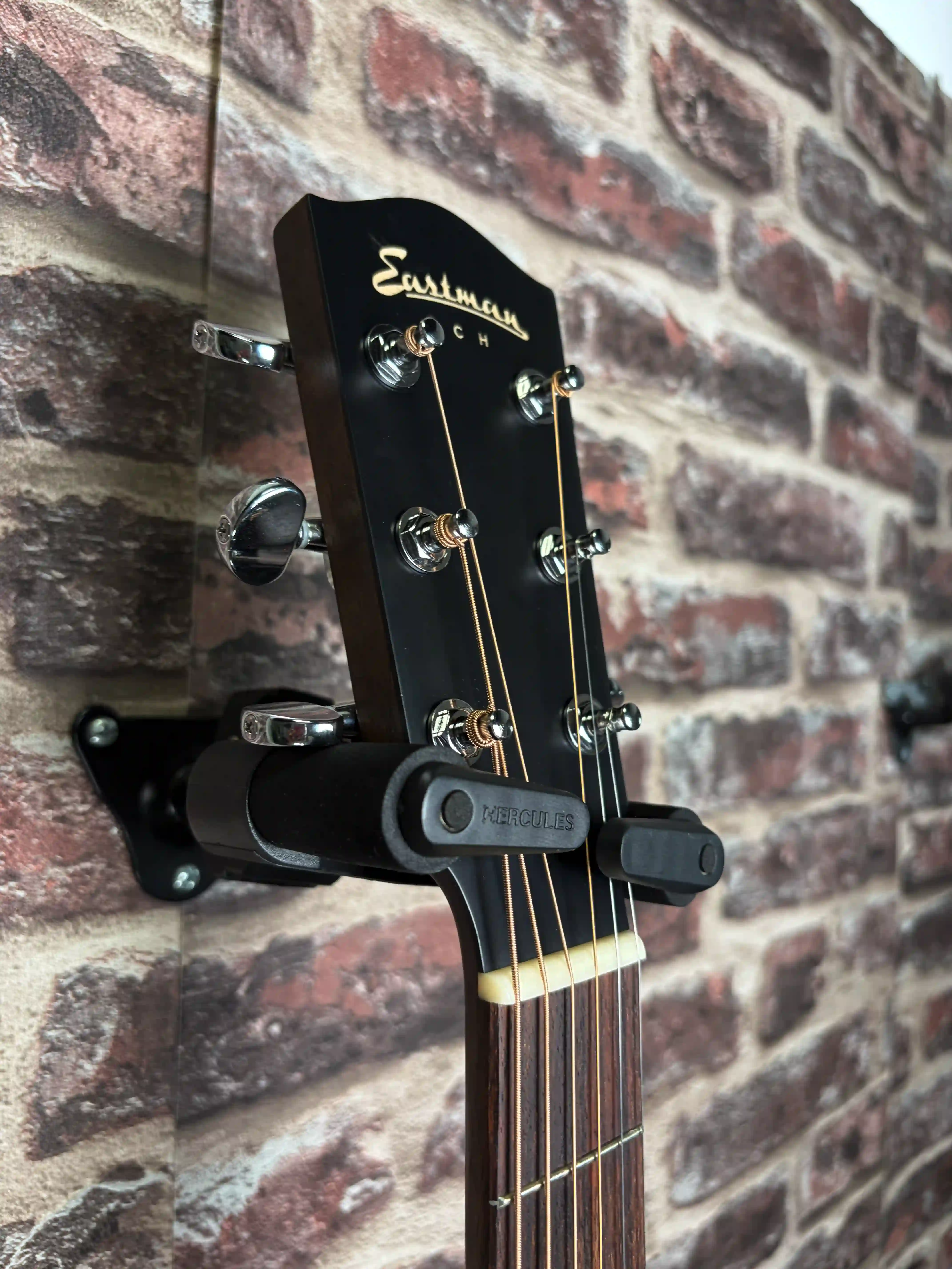 Eastman PCH2‑GACE‑BK