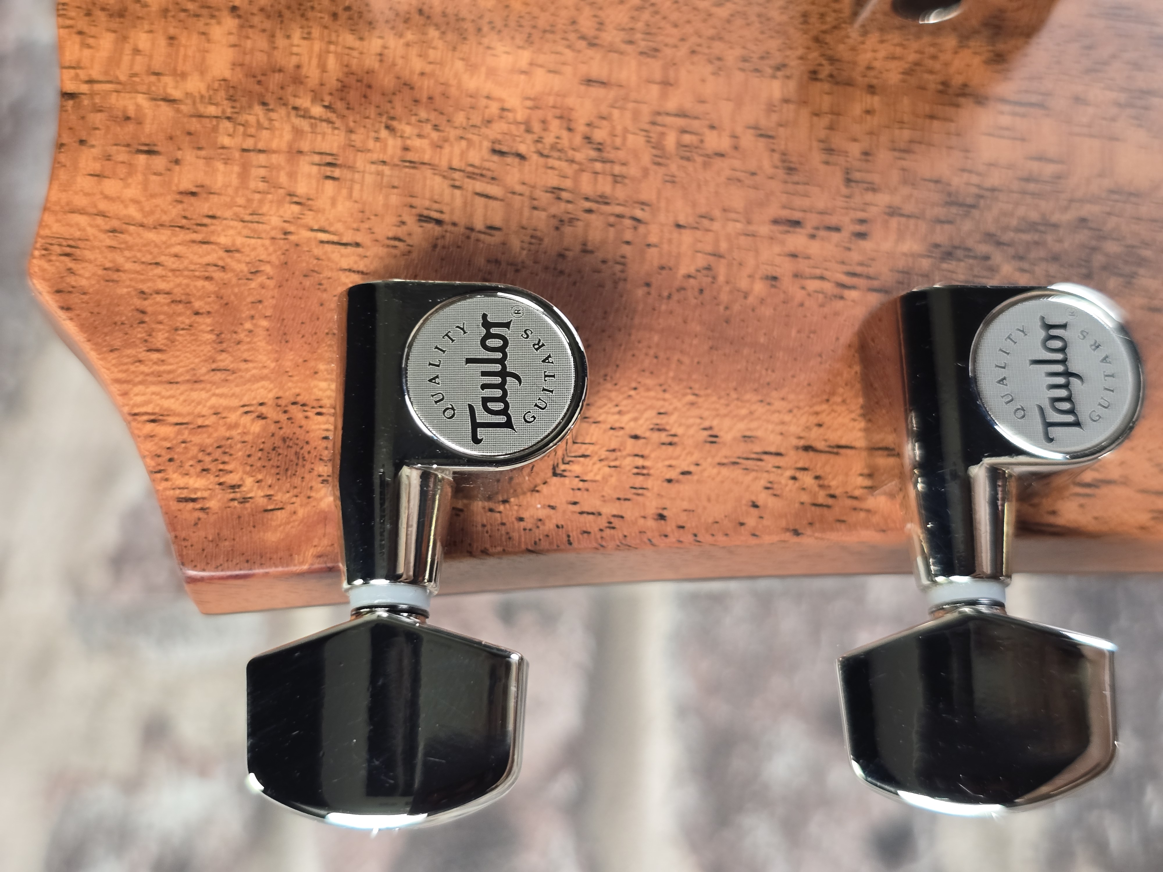 Taylor 314ce Studio Shaded Edgeburst
