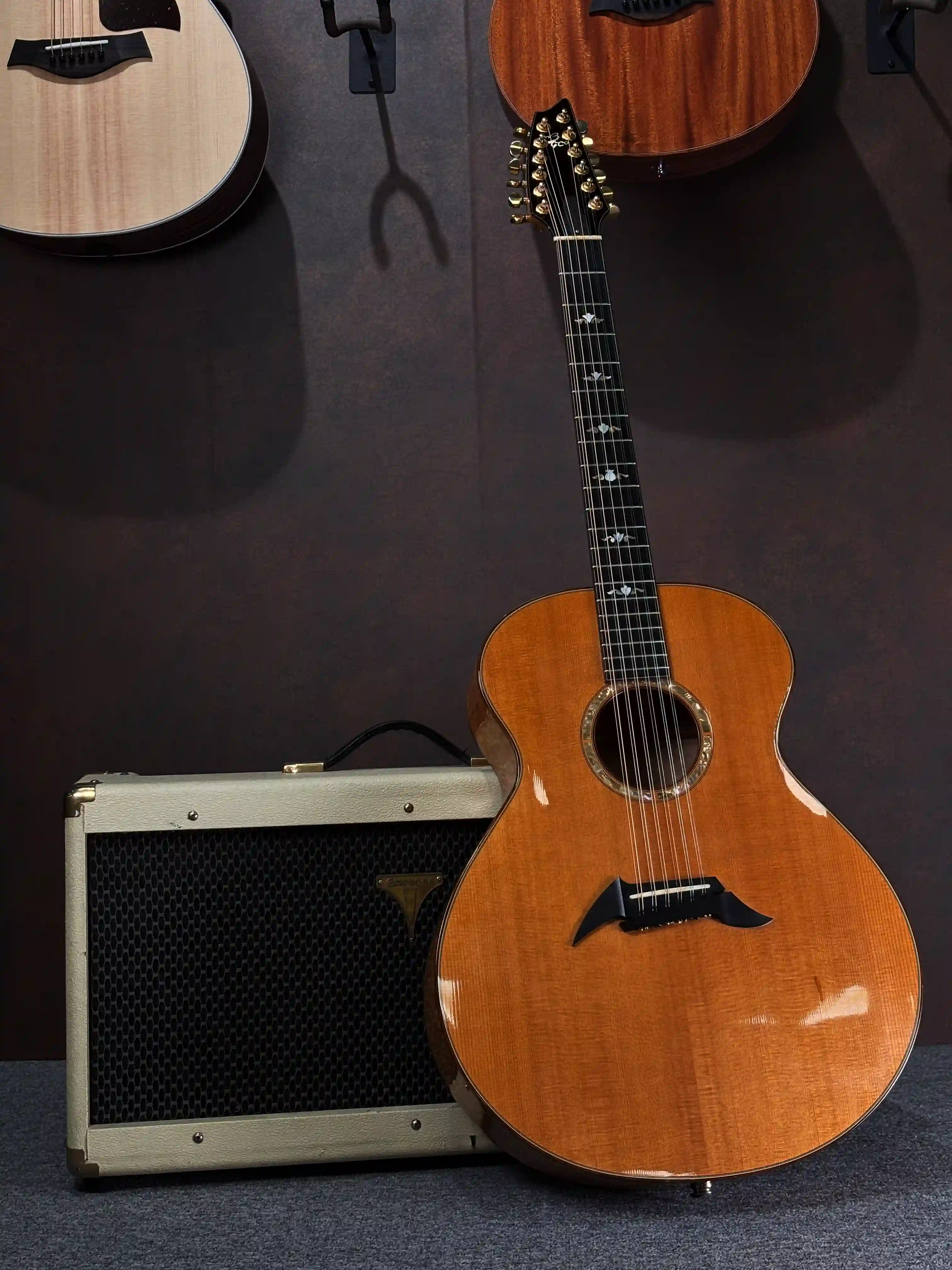 Breedlove Masterclass Jumbo 12 MJ/MP 1996 OCCASION