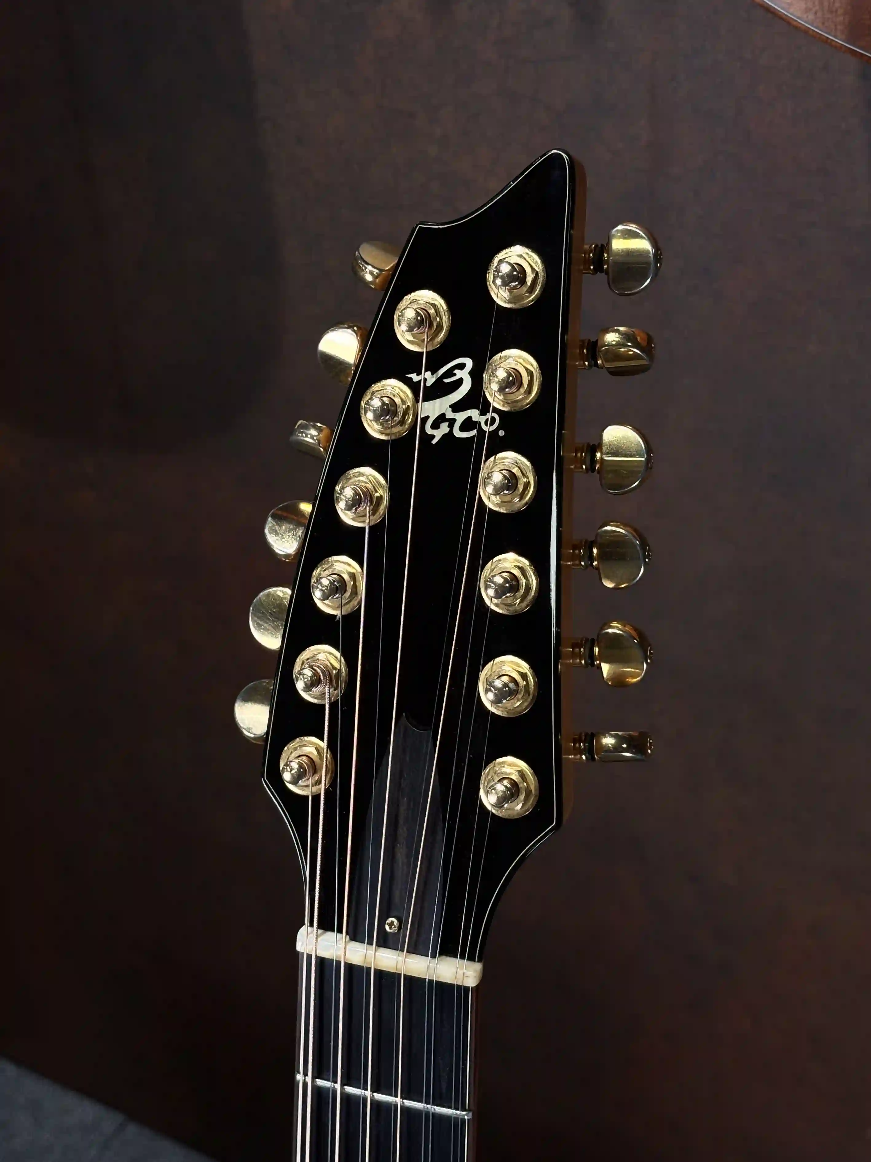 Breedlove Masterclass Jumbo 12 MJ/MP 1996 OCCASION