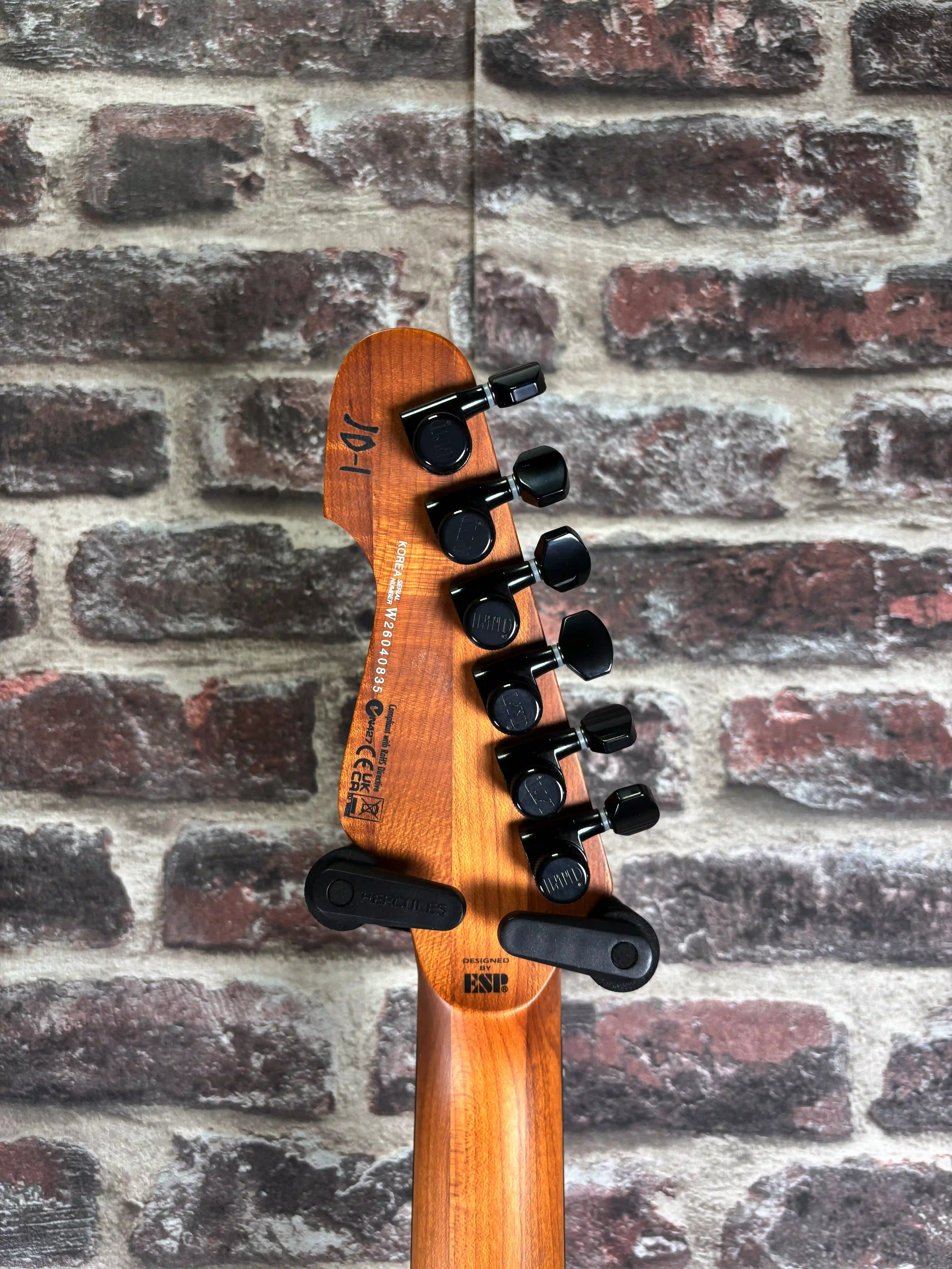 LTD Signature Joe Duplantier JD‑I Silver Sunburst
