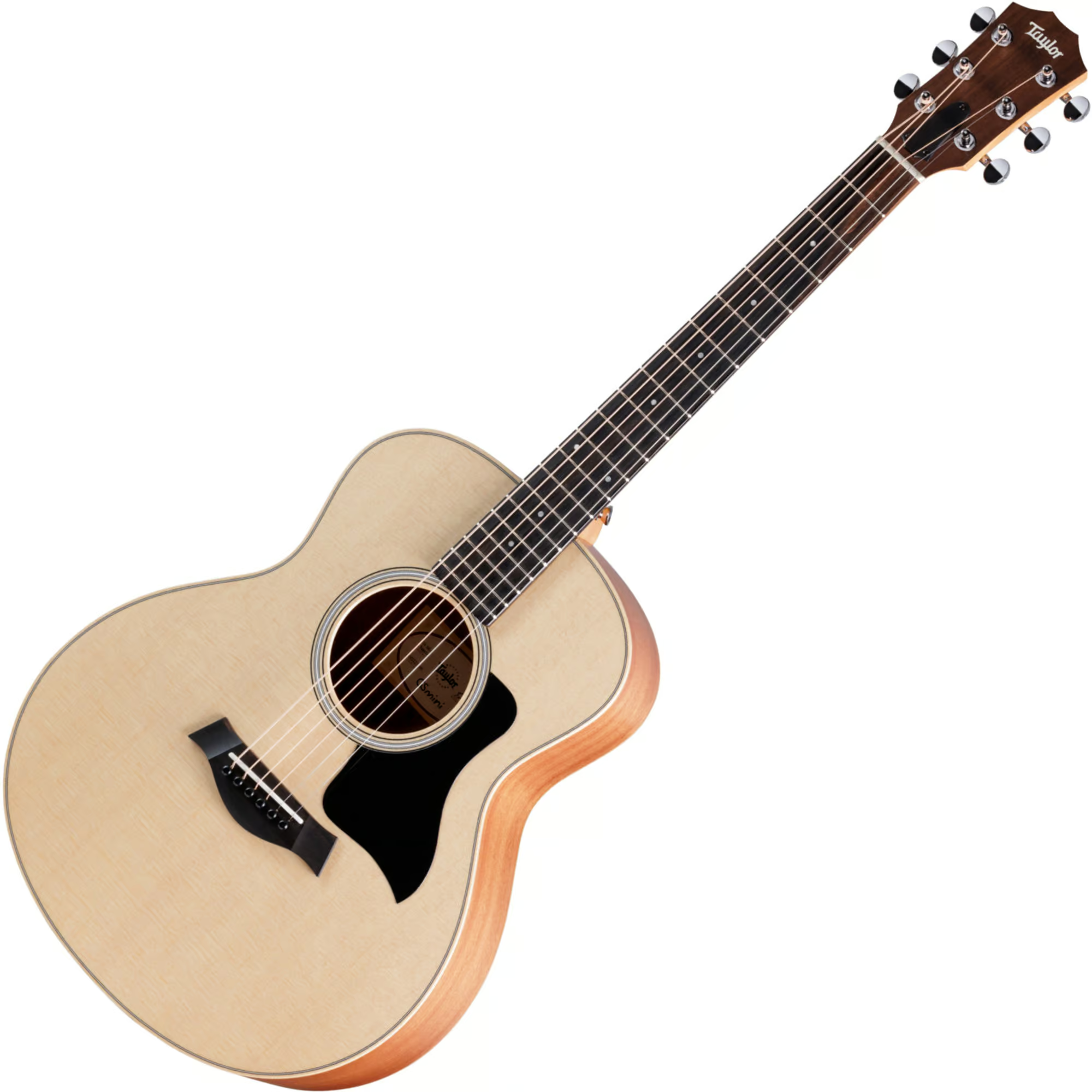 Taylor GS mini Sapele/spruce
