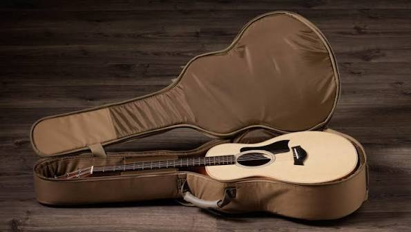 Taylor GS mini Sapele/spruce