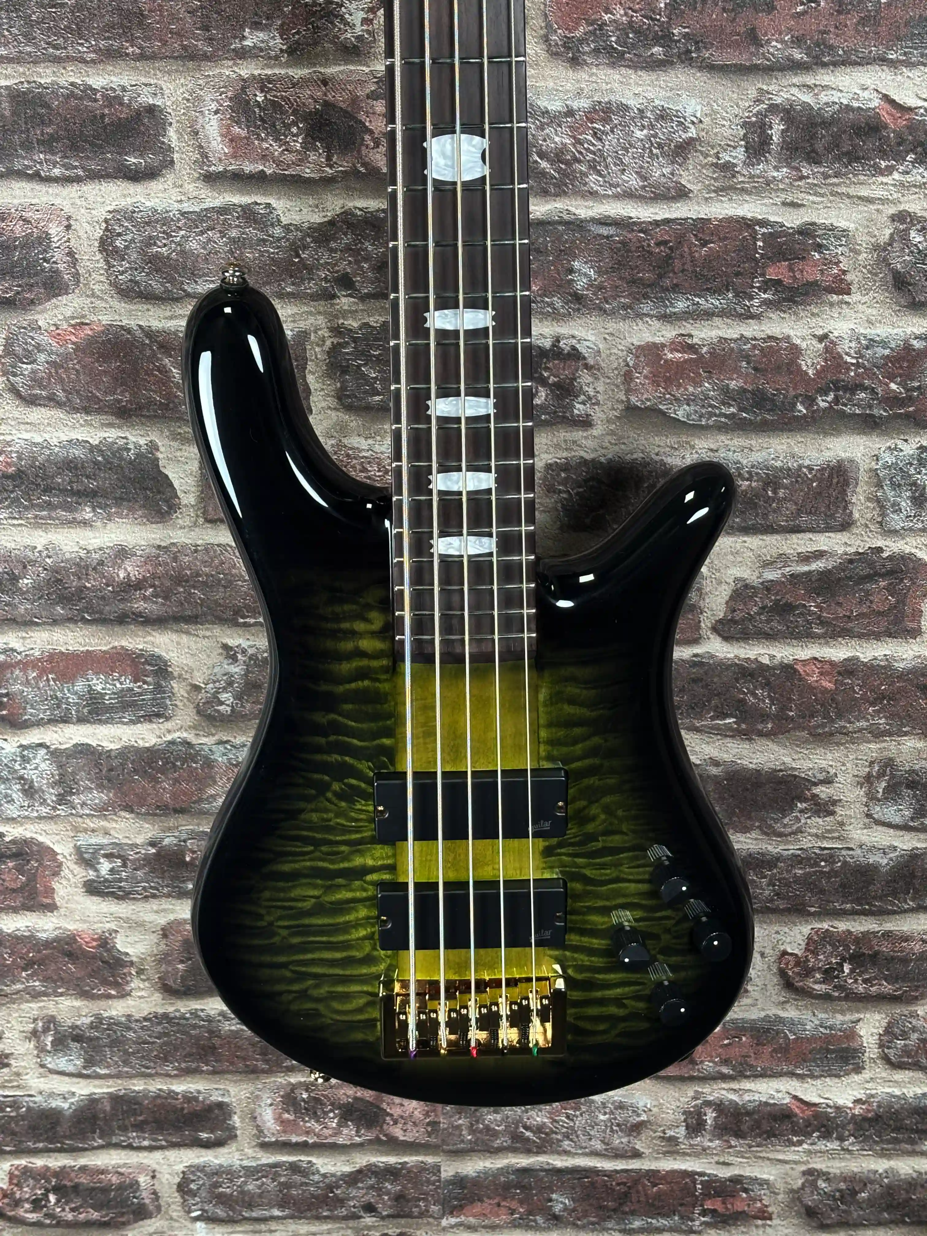 Spector NS-5 Neck-Thru Haunted Moss
