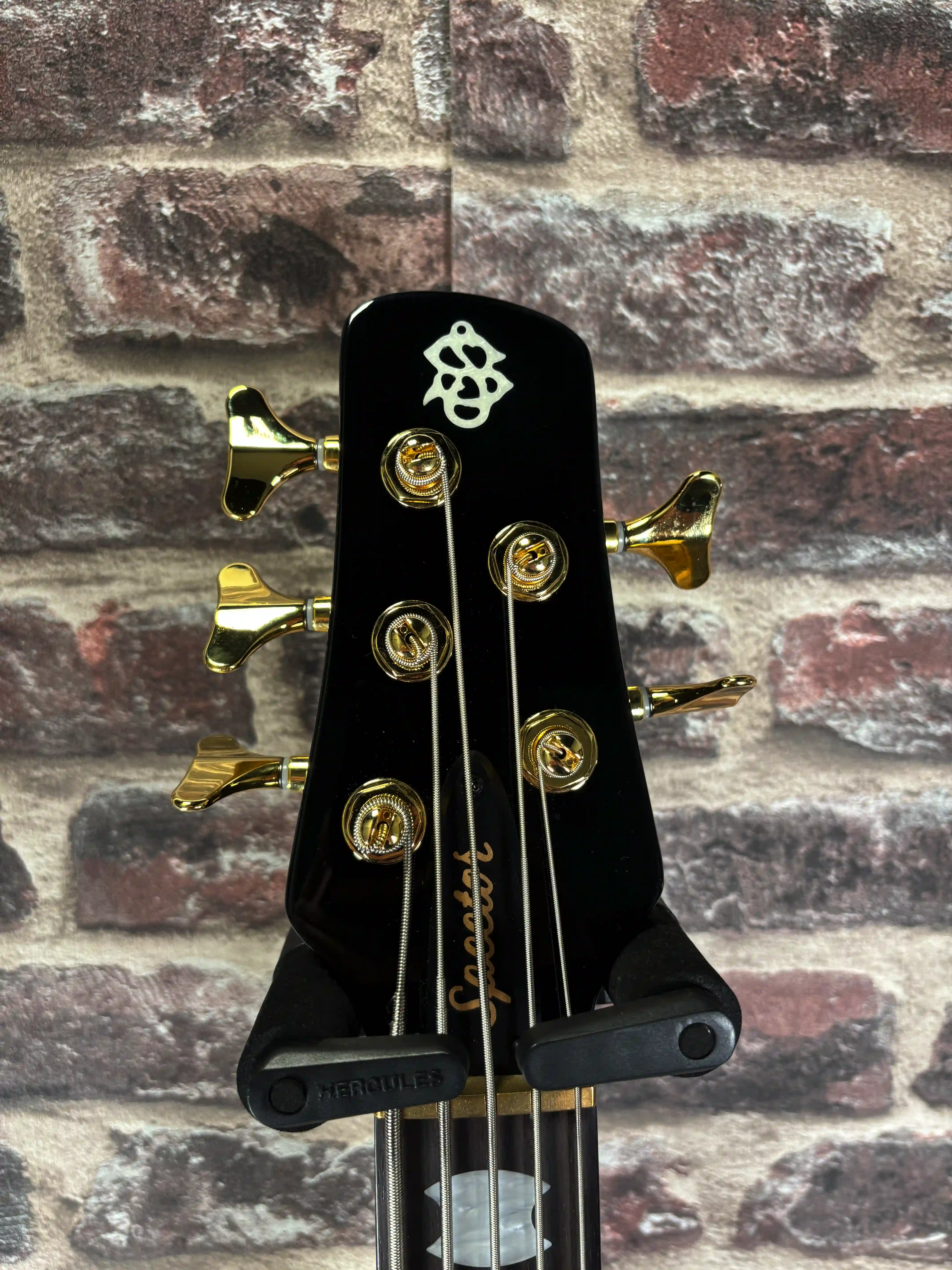Spector NS-5 Neck-Thru Haunted Moss