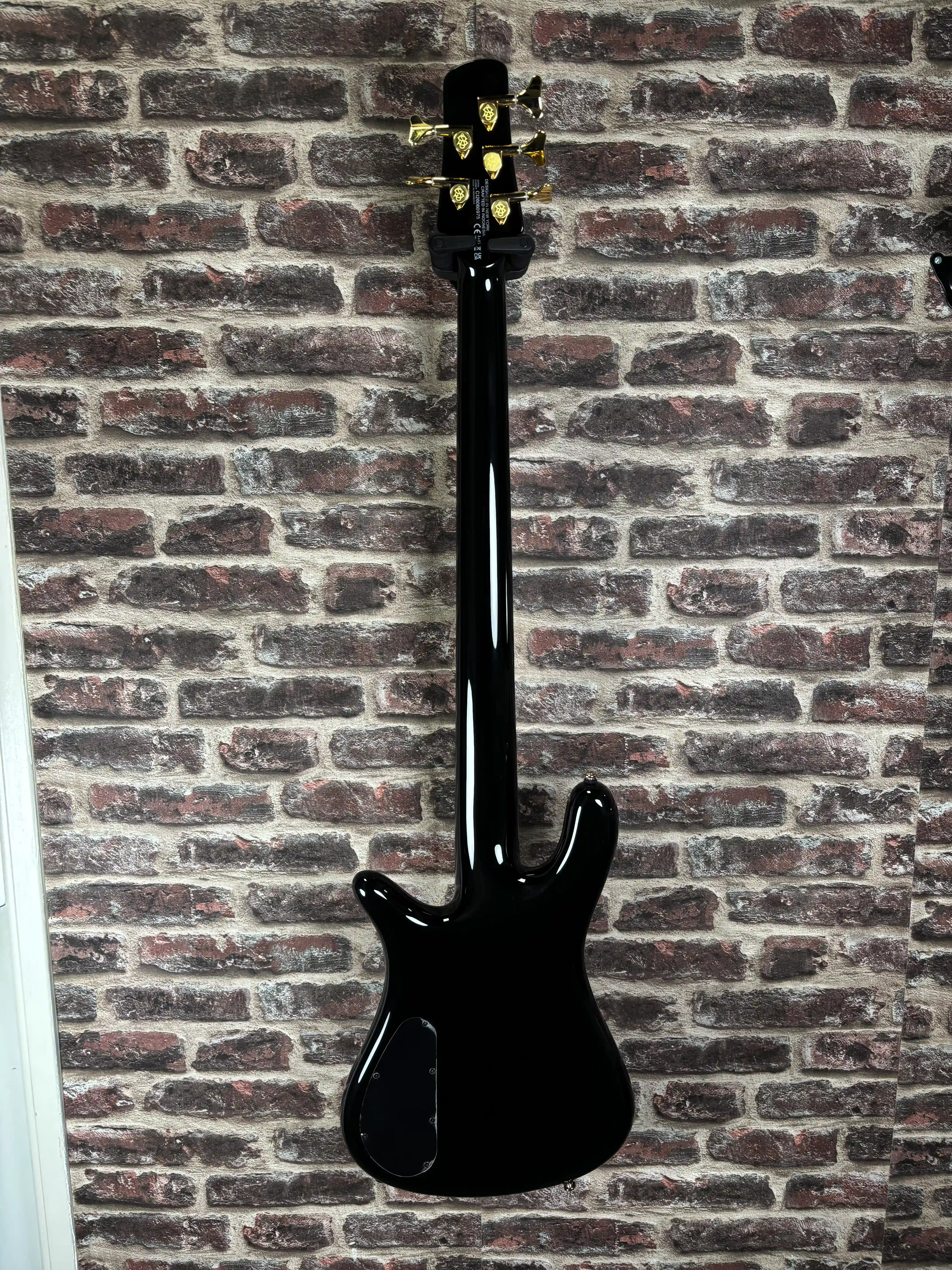 Spector NS-5 Neck-Thru Haunted Moss