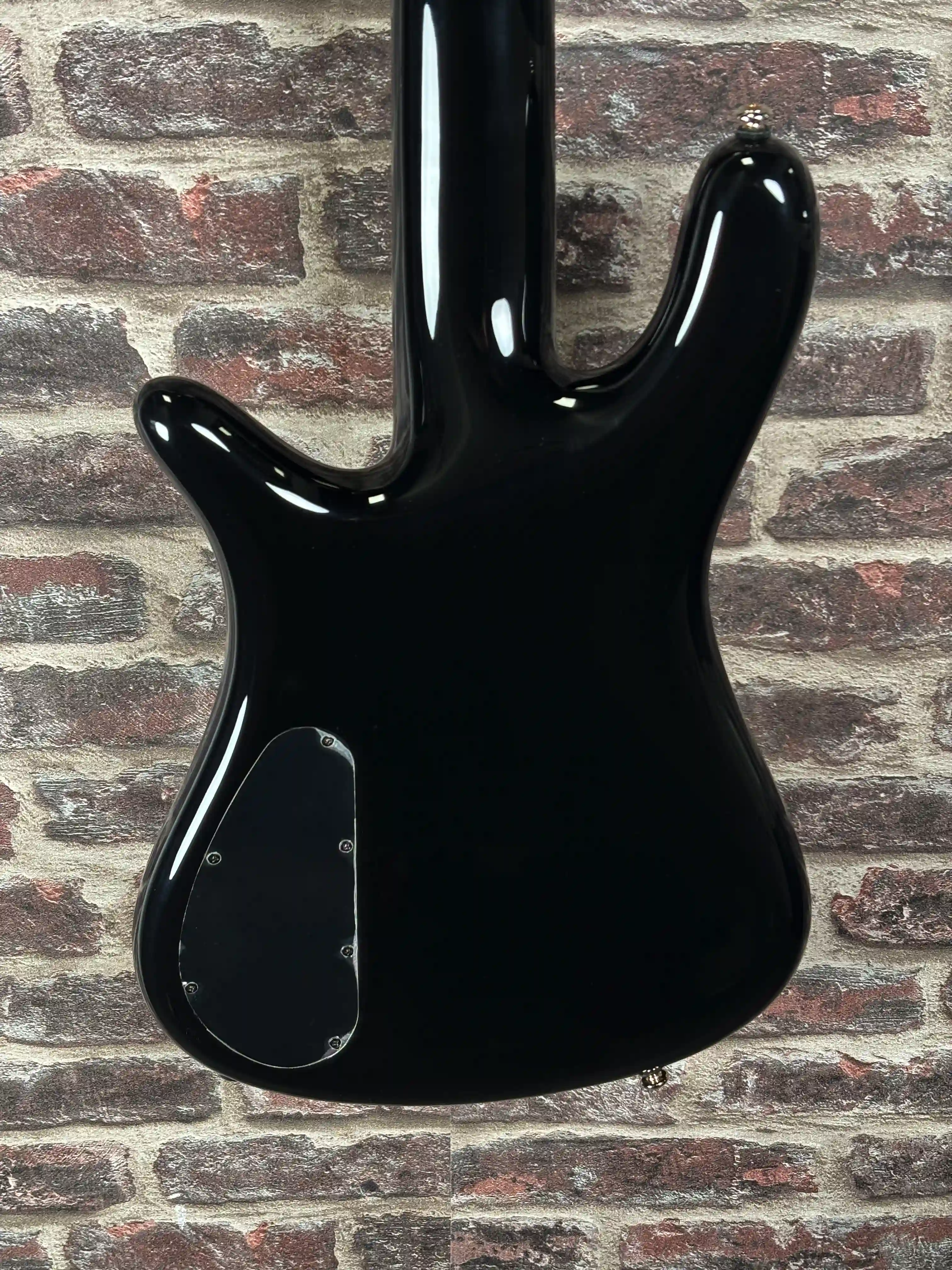 Spector NS-5 Neck-Thru Haunted Moss