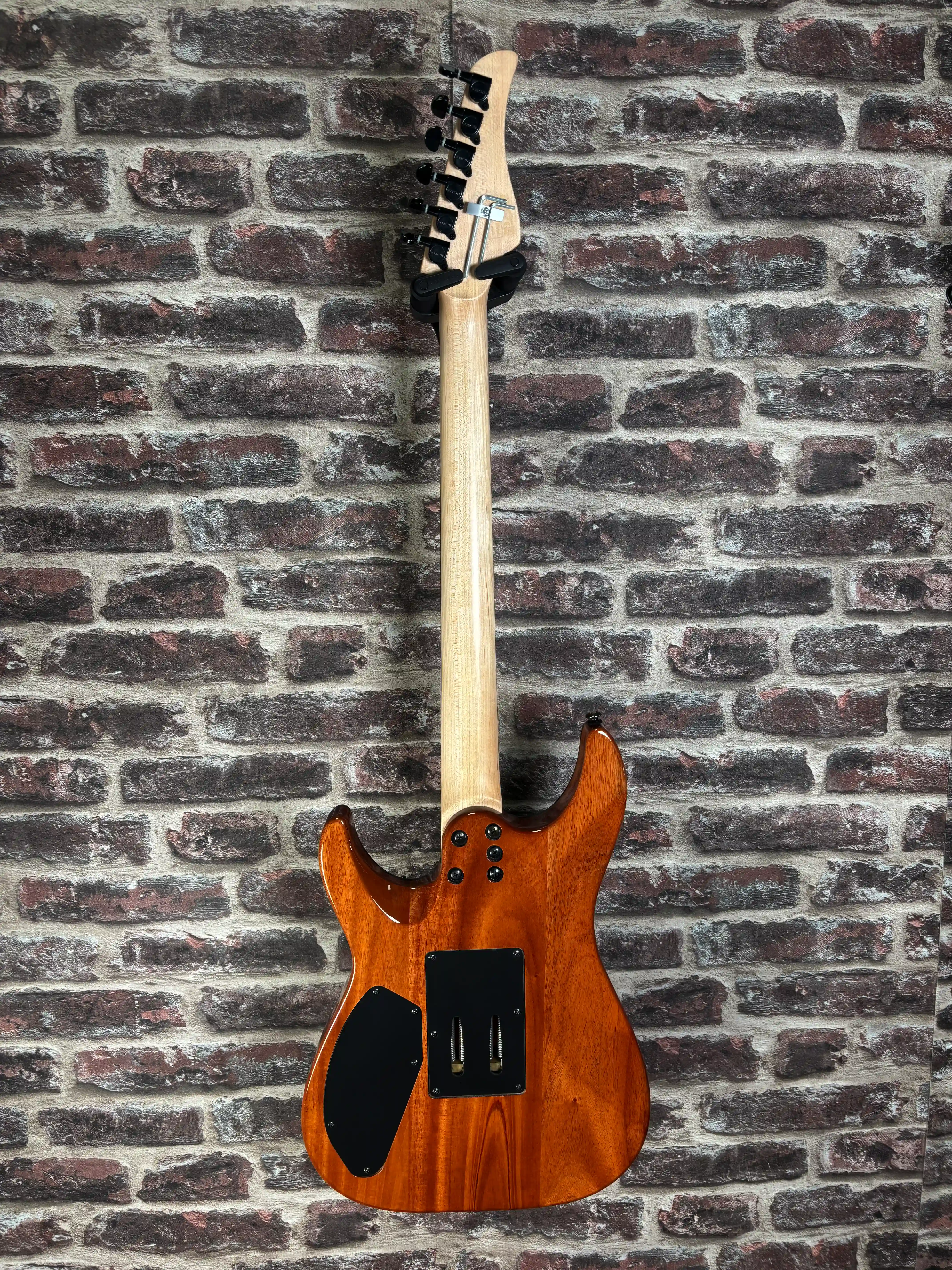 Schecter C-6 Pro FR Aqua Burst Modified OCCASION