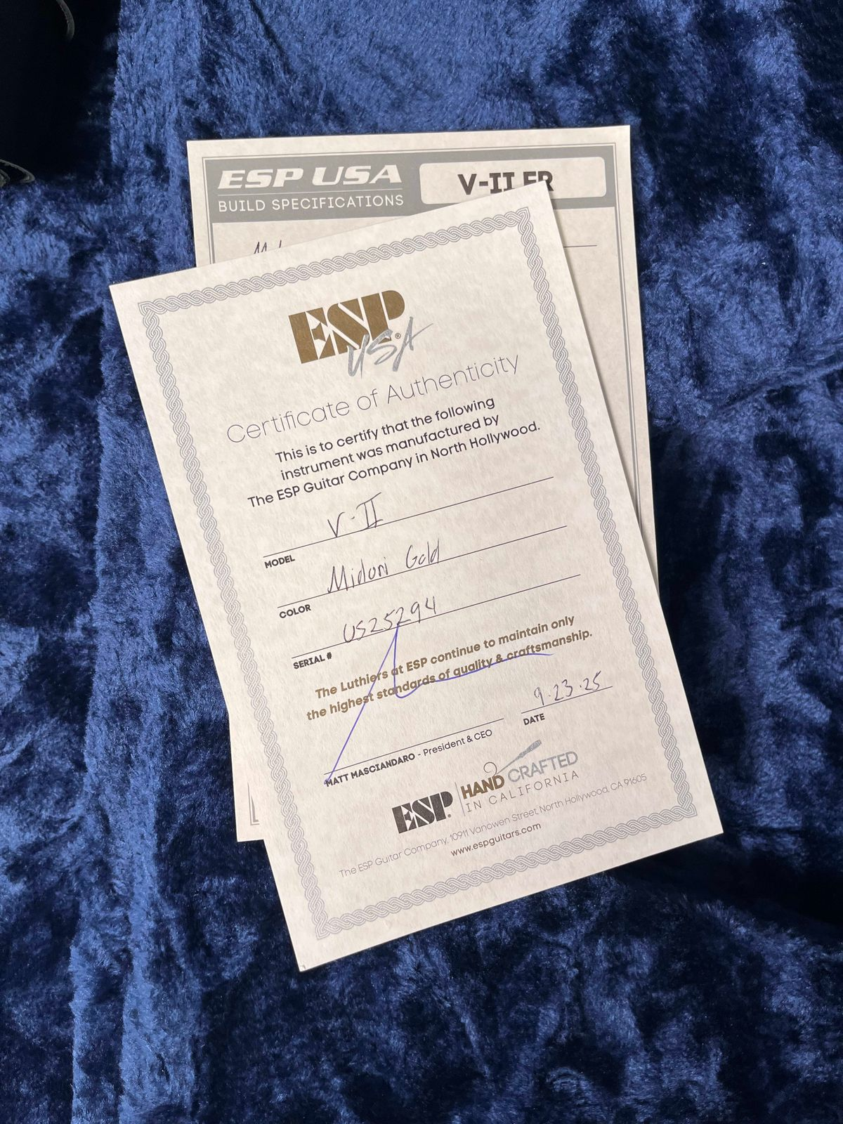 ESP USA V2 FR Midori Gold
