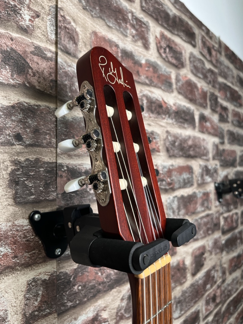 Godin Multiac Encore Nylon OCCASION