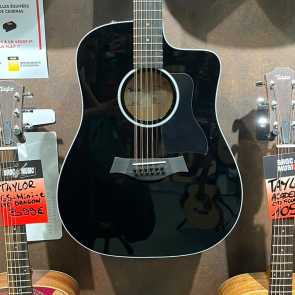 Taylor 250ce‑BLK Plus